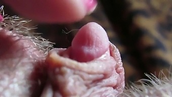 Intense Close-Up Of My Large Clitoris Head Throbbing During Hardcore Sex