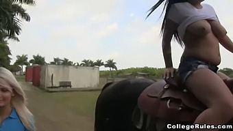 Public Humiliation And Hardcore Sex With Young College Girls
